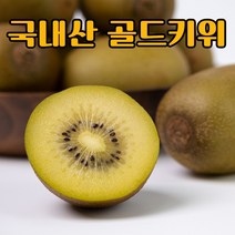 국내산 고당도 골드키위 그린키위 중과 대과 특대과 2kg 5kg, 국산 골드키위 2kg 왕 13~16과
