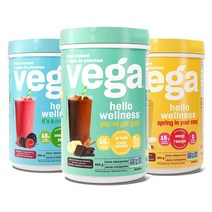 Vega 식물성 프로틴 단백질 파우더 405g 3종택1, 초코405g