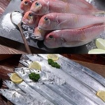 제주은갈치옥돔세트 정산대행_제주 대사이즈 옥돔 3마리+특대 은갈치 4마리분량(16토막), 1세트