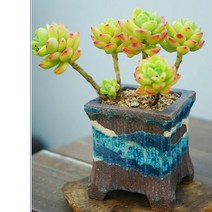 질마재 수제화분 다육화분 (환원멋분-사각), 비취