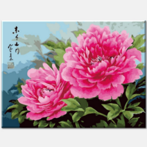 (물감 2배) diy유화그리기 I53 부귀화 목단 40x50 모란 꽃 그림 명화그리기 정물 복들어오는 함박 모모픽스 페인팅