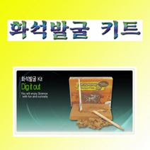 화석발굴