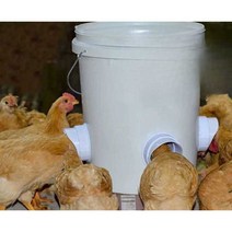대형 닭모이통 만들기 DIY 부품 사료 배급 양계장 닭장