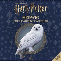 (영문도서) Harry Potter: Hedwig Pop-Up Advent Calendar Hardcover, Insight Editions, English, 9781647227609