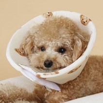 고양이 잠자기 편한 쿠션형 가벼운 넥카라 수술후 애견캡 강아지캡 깔때기 목커버 핥음방지 깔대기 강쥐용