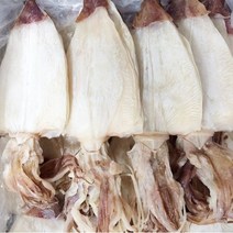 맑은푸드 오징어 한치 AAA 최상급 대(M 사이즈), 한치(대)10미