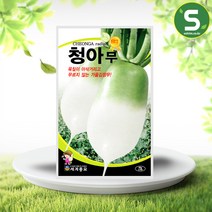 솔림텃밭몰 김장무씨앗 30g 청아무 가을김장무씨앗 가을무씨앗, 단품
