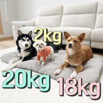 댕댕이가게 강아지 초대형 마약 방석 쿠션 대형견 무중력 켄넬 고양이 빈백 포토존 특대형, 그레이