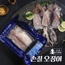기타 진성 손질오징어 130g20마리(팩당 2마리 포장)+오징어채 100g7팩, 1