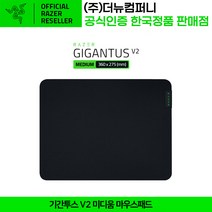 레이저 기간투스 V2 미디움 마우스패드