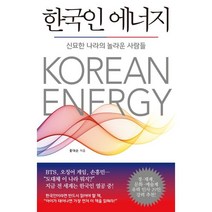 한국인 에너지:신묘한 나라의 놀라운 사람들, 홍대순 저, 쌤앤파커스
