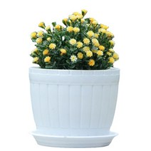 ANKRIC 화분 원예 배럴 플라스틱 다육 화분 모방 세라믹 콜리 플라워 연꽃 작은 유럽 화분 심기 화분 트레이 보내기, 기이 한, 나무통 흰색