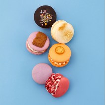 sixweets 식스위츠 마카롱 뚱카롱 48g A세트 B세트 A+B세트