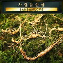 사랑품산삼 산양삼 12년근 15년근 장뇌삼 산양산삼 천종 자연산산삼, (A급) 15년근 10뿌리