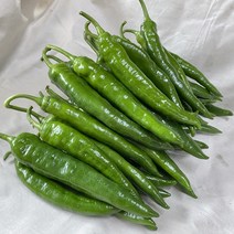 국내산 아삭고추 오이고추, 2kg