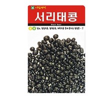 SN월드 씨앗 열매채소 과일채소 모음, 서리태콩