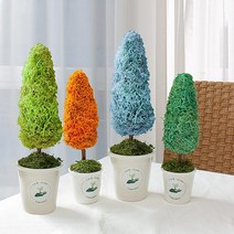 레드포인트 스칸디아모스 천연이끼 반제품 키트 그린썸 율마 모스트리 토피어리 DIY 만들기 모스그린 이끼