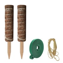 이오난사 디시디아 틸란드시아 원예도구 식물 공기정화식물 공중식물 야외식물 2pack 코코넛 섬유 이끼 막대 토템 덩굴 덩굴 스테이크 발코니 사무실 지원 기둥 홈 몬스테라 격자, 30cm, 01 30cm