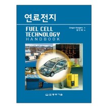 연료전지, 동화기술, Gregor Hoogers