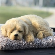 리얼펫 강아지 고양이 공기정화 탈취 제습인형, 02.골드리트리버