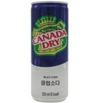 캐나다드라이 클럽소다 250ml, 20개