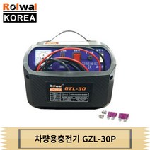 로웰 12V 24V 자동차 차량용 밧데리 배터리 충전기 GZL-30P, 1개