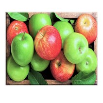 FASEN diy보석십자수 캔버스 형액자 세트 40cm x 50cm, AYW-71사과 한 무더기요.