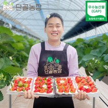 충남 논산 우수농산물(GAP) 인증 비타베리 딸기, 비타베리 / 1.6kg 내외 / 48~60입