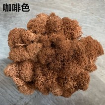 벽걸이 꽃장식 북유럽 인테리어 소품 파티션 인공 식물 영원한 생명 이끼정원 홈 장식 벽 꽃 재료 미니 정원 마이크로 조경 액세서리, 20g