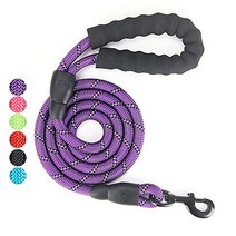 AINAAN 5 FT Strong Dog Leash with Comfortable Padded Handle and Highly Reflective Threads 2019 Pur, 1, Purple