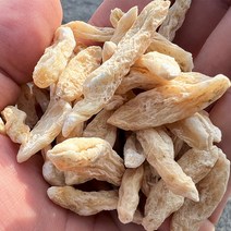 거심 맥문동 밀양 특품 건조 말린 건맥문동, 300g, 1개