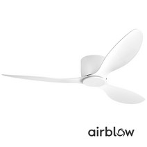 에어블로우 실링팬 C-2 DC모터 17cm 초슬림, 실버, 블랙