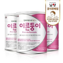 남양 임페리얼드림XO 이른둥이 특수조제식 분유 400gx3개, 400g, 3개