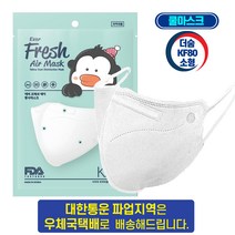 더숨 kf80 소형 어린이용 새부리형 쿨링감소재 귀통증없는 특수밴드 에버프레쉬 보건용마스크 1매입 개별포장, 30개, 화이트