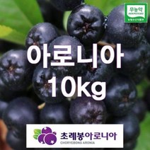 유기농 초례봉아로니아열매 상급 10kg / 농장 당일수확배송