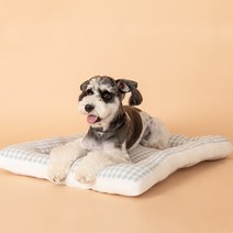 초코펫하우스 강아지방석 365 항균 베드 대형, 1.몬스테라