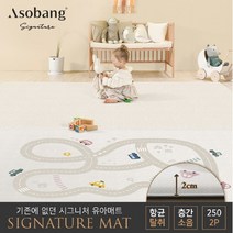 아소방 [아소방] 1+1 시그니처 유아 놀이방매트 트립마이시티 250 (250x150x2cm), 선택완료