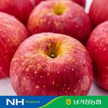 아삭달콤한 거창 꿀사과 가정용 2.5kg(중과)9과-12과 내외, 단품