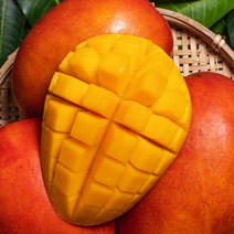 영화청과 특급 수입산 애플망고 4.5kg 제주 선물 브라질 가격 제철 페루 국산 농장