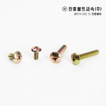 일반 트러스 머리 볼트(6mm ~ 50mm) M4 M5 M6, 12mm