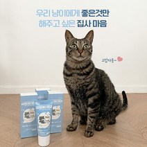 뚜또가또 바르는 덴탈 치약 닭고기맛 치석 구취제거, 단품, 단품
