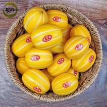 프리미엄 맛가득 성주꿀참외 망고참외 꿀참외 참외 2Kg 5Kg 10Kg, 프리미엄 성주꼬마참외 8-10과 2Kg