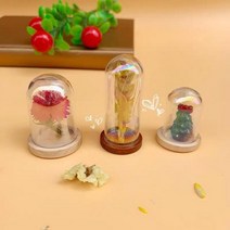 15X 미니 레인보우 현대 공예 유리 돔 커버 드라이 플라워 꽃병 나무 베이스 풍경 인형 모델 디스플레이 작품, 13 Random, 01 15pcs