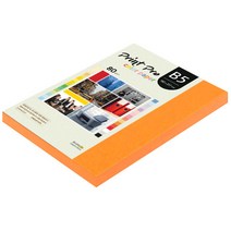 종이문화 프린트 프로 칼라복사지 No.27 오렌지 80g, B5, 170개