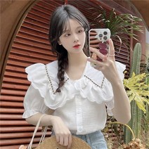 퐁순싸롱 빅 프릴 카라 배색 스티치 반팔 자수 블라우스 SY