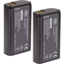 BM Premium DMW-BLJ31 Battery for Panasonic Lumix DC-S1 DC-S1H DMW-BGS1R Digital Cameras, 한개옵션0