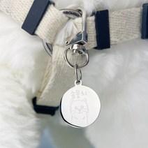 고리형인식표 반려동물 목걸이 인식표 강아지인식줄 고양이인식표 써지컬펜던트, 써지컬원형실버24, 글씨체+드로잉+각인내용 꼭 남겨주세요, 실버