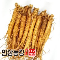 더굿진생 금산 인삼 수삼 원수삼 난발삼 파삼 삼계 350g, 1개, (세척안함)알뜰형 350g(17~20뿌리)
