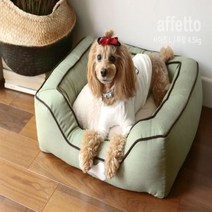 친절한도그씨 아페토 코튼 사각방석 L 애견방석, 카키