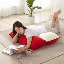Zaza 멀티토퍼 필로우 빨아쓰는쿠션 등받이쿠션, 그레이형